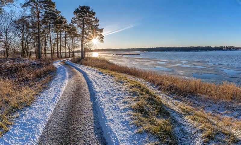 A serene winter landscape featuring a snowy path, trees, and a frozen lake under a clear sky.