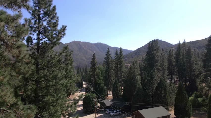 Forest campground with Sequoyah trees and mountains in 4K