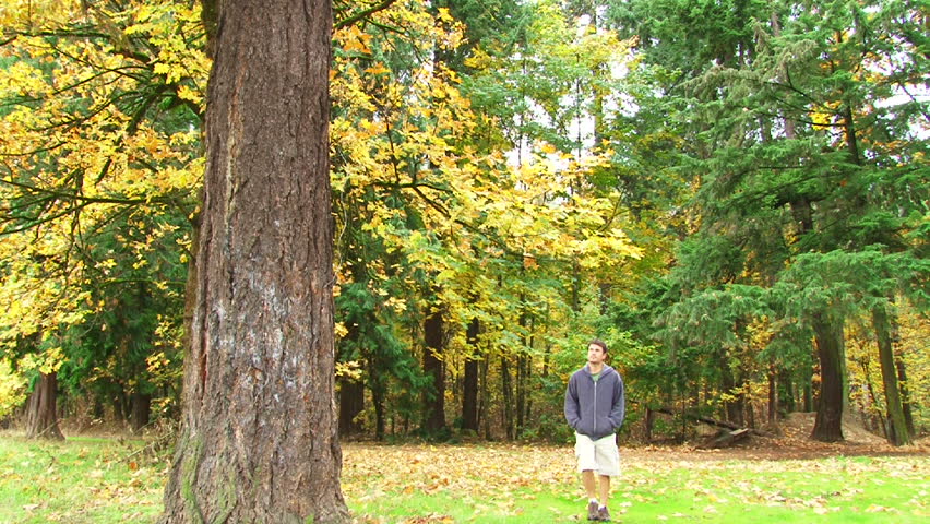 Model released man walking in forest park full of autumn leaves.