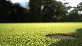 Golfer putting ball on the green golf, lens flare on sun set evening time. Golfer action to win after long putting golf ball in to the hole. - Powered by Shutterstock - Get 15% off with code: PIKWIZARD15