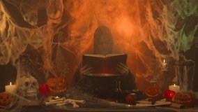 A witch in black clothing reads a spellbook while sitting in a scary kitchen with pumpkins and a potion cauldron. - Powered by Shutterstock - Get 15% off with code: PIKWIZARD15