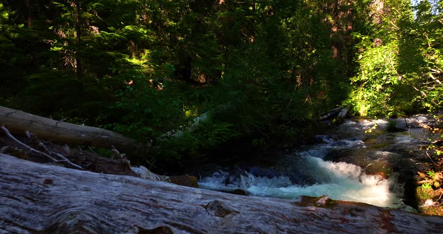 Oregon Forest Aerial Drone Crater Lake National Park River