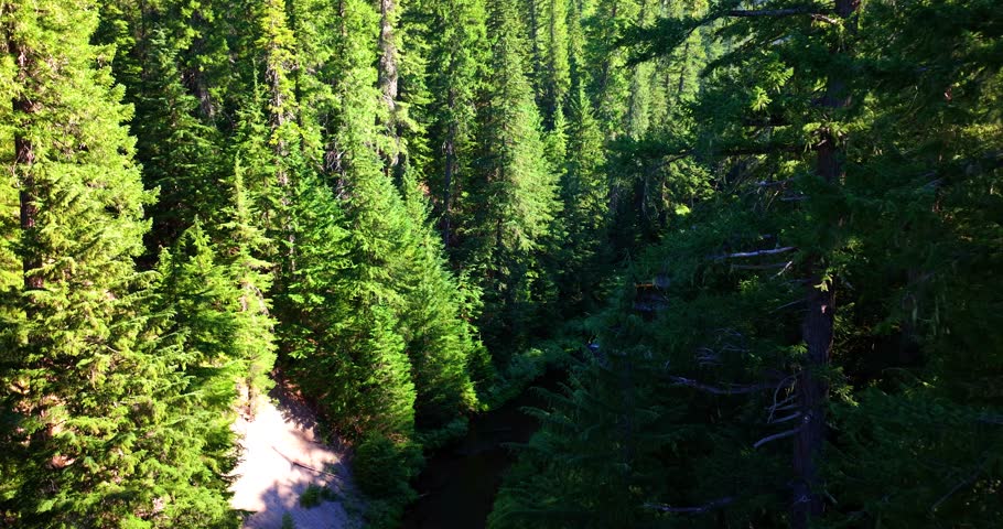 Crater Lake National Park Oregon Forest Aerial Drone