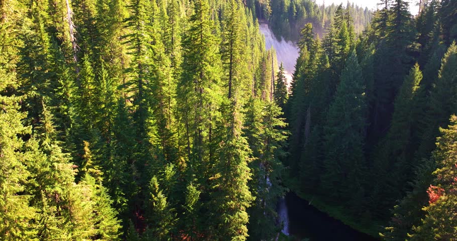 River Flowing Through Forest Crater Lake National Park Oregon