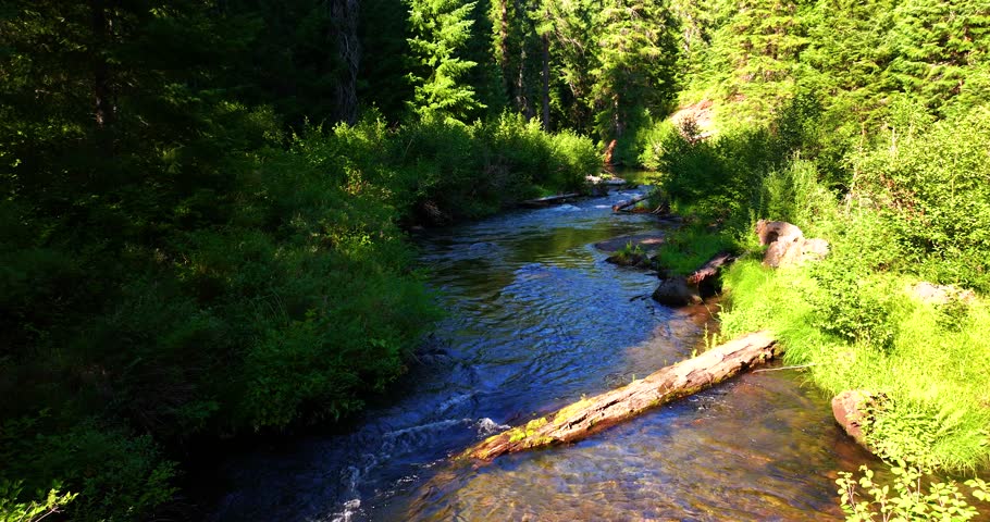 Flowing Stream Aerial Drone View Crater Lake National Park