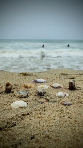 ocean view from the beach along with seashells