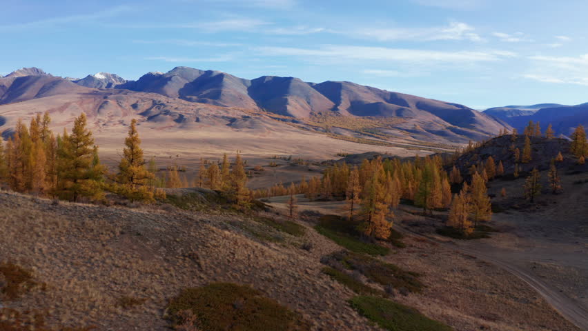 Breathtaking aerial view of Mountain Altai in late autumn, showcasing golden trees and vast mountain ranges. Captured with a drone, the image highlights the stunning beauty of Altai diverse landscapes