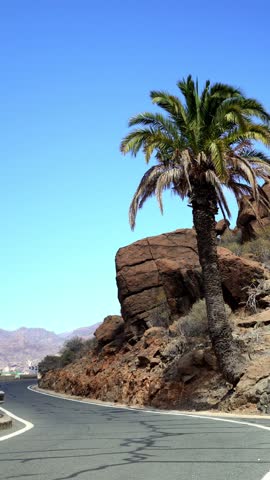 Electric mountain bike touring on the winding mountain roads of the Canary Islands. The rider is wearing a helmet, the bike is equipped with bags and there is a palm tree on the roadside