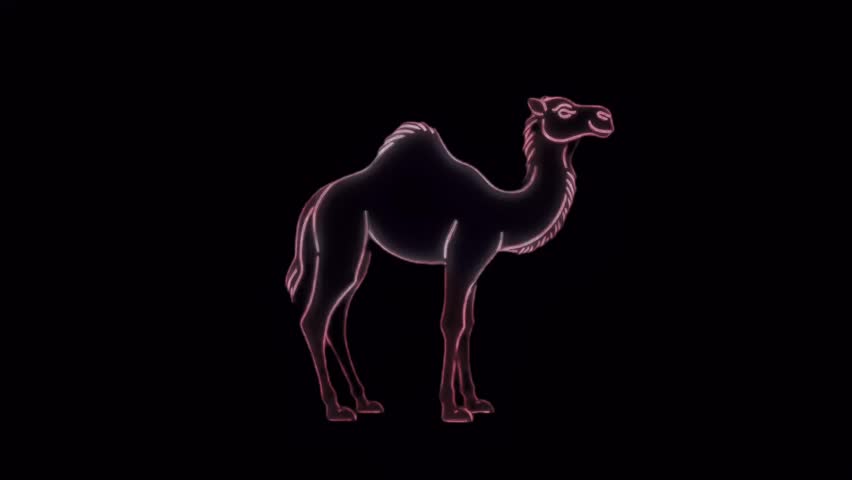 neon camel  stand alone vector  with dark simple background with 4k realistic