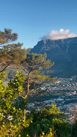 Beautiful view of Table Mountain and Lion’s Head from Signal hill Cape Town on a beautiful summer day 