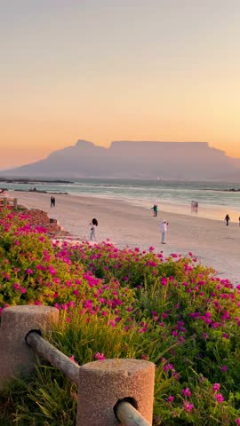 Beautiful panoramic view of Table Mountain and Lion’s Head from Blouberg beach in Cape Town at sunset on a beautiful summer day