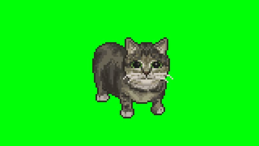 Cat spinning around, pixel art meme animation