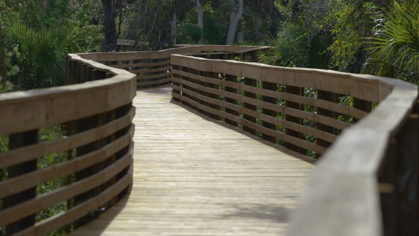 Tropical rainforest walking boardwalk trail. Exploration of Florida jungles with green palm trees and wild vegetation in southern USA
