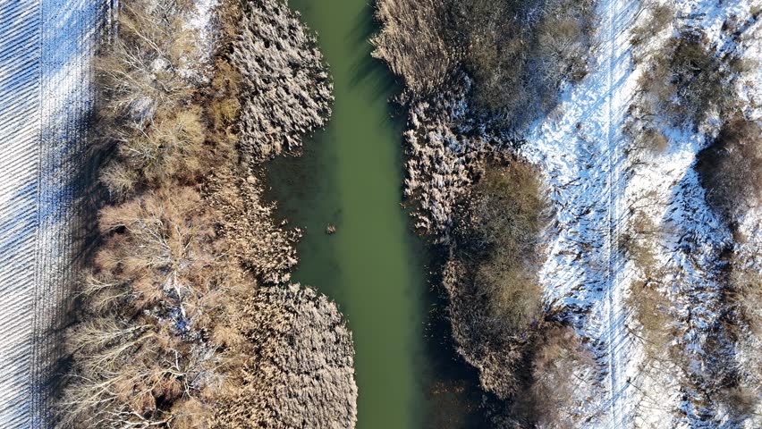 Winter River Path: Aerial View of Snow-Covered Farmland and Frozen Vegetation