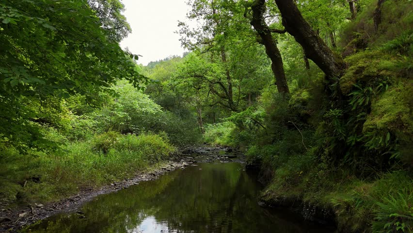 The Pont Felenrhyd, or Ivy Bridge, in Wales, is a moss-covered stone arch amid lush forests and hiking trails, spanning the tranquil Afon Prysor river