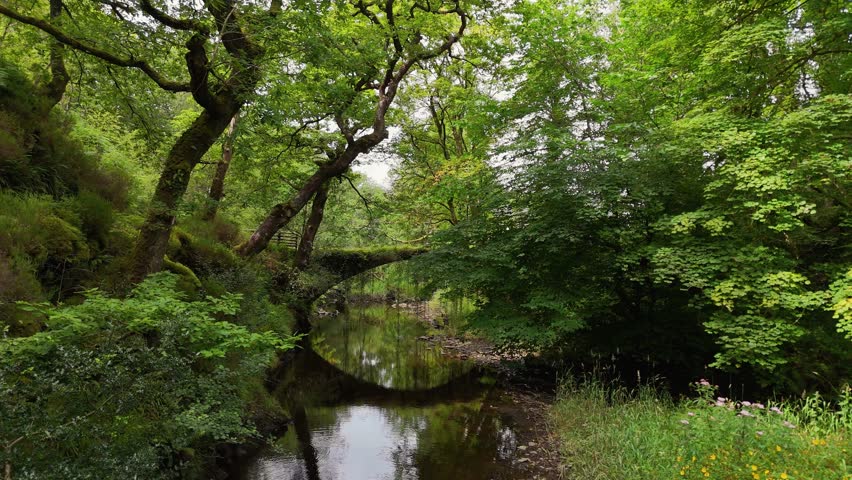 The Pont Felenrhyd, or Ivy Bridge, in Wales, is a moss-covered stone arch amid lush forests and hiking trails, spanning the tranquil Afon Prysor river