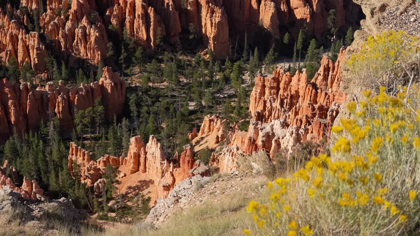 a collection of beautiful red, brown and yellow rocks formations in a collection of giant natural amphitheaters, Bryce Canyon, Utah USA