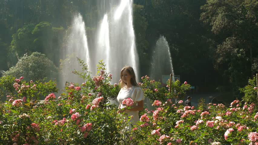 Woman walking blooming roses garden fountains lush greenery. Tranquility and Nature.