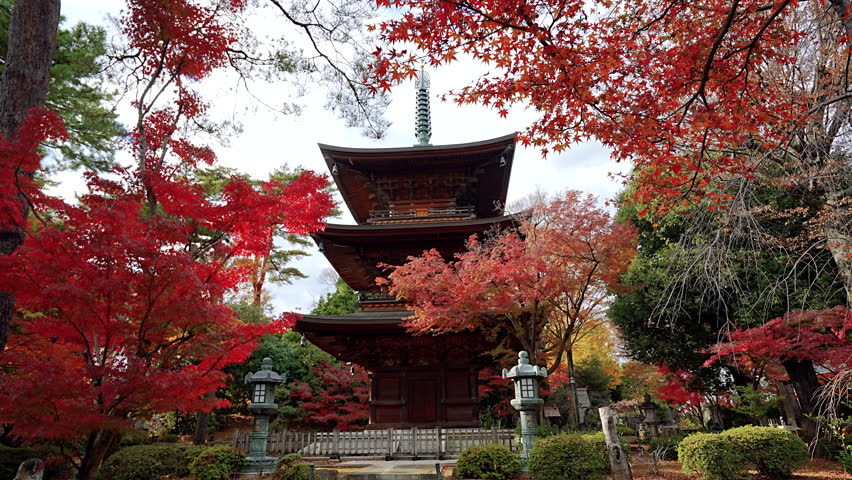 Autumn leaves and Three-storied pagoda of Gotokuji temple Tokyo 