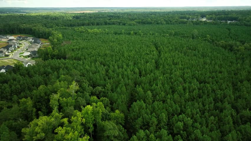 A drone flying above the treetops of a green forest with houses on the left side, on a sunny day in Grovetown, Georgia
