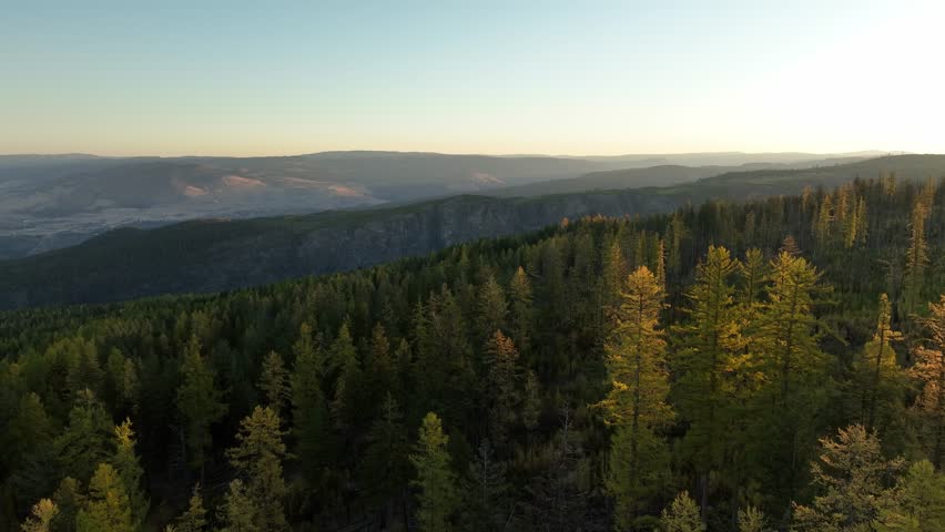 An aerial view of fall trees on a cliff at Myra Canyon Trestles during Sunrise in Kelowna, Myra-Bellevue Park, British Columbia, Canada