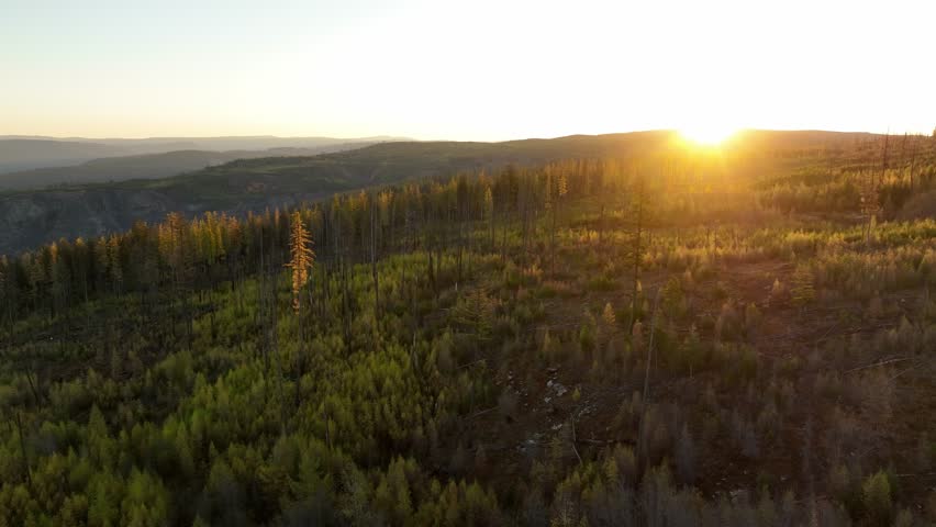 An aerial view of Myra Canyon Trestles during Sunrise in Kelowna, Myra-Bellevue Park, British Columbia, Canada