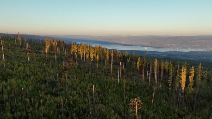 An aerial view of Myra Canyon Trestles during Sunrise with a lake in the background, in Kelowna, Myra-Bellevue Park, British Columbia, Canada