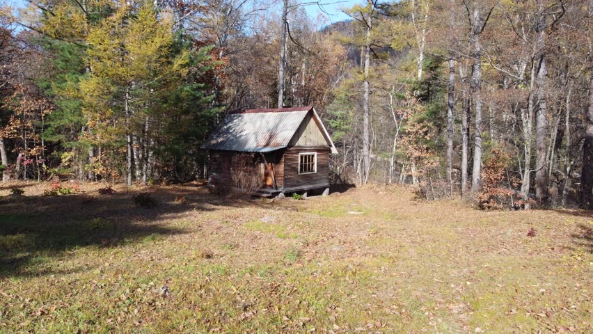 An old house in the woods