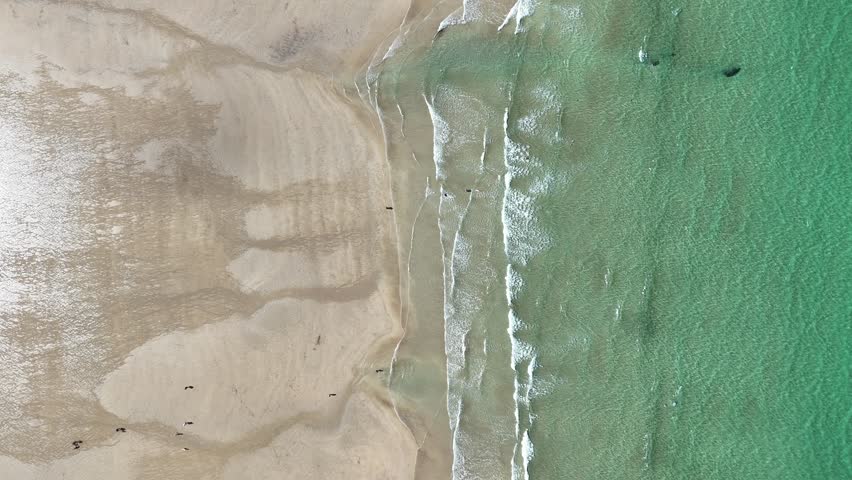 Towan Beach in Cornwall. Newquay