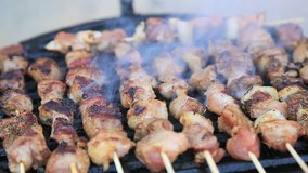 High definition video of pork and chicken skewers on barbecue grill
