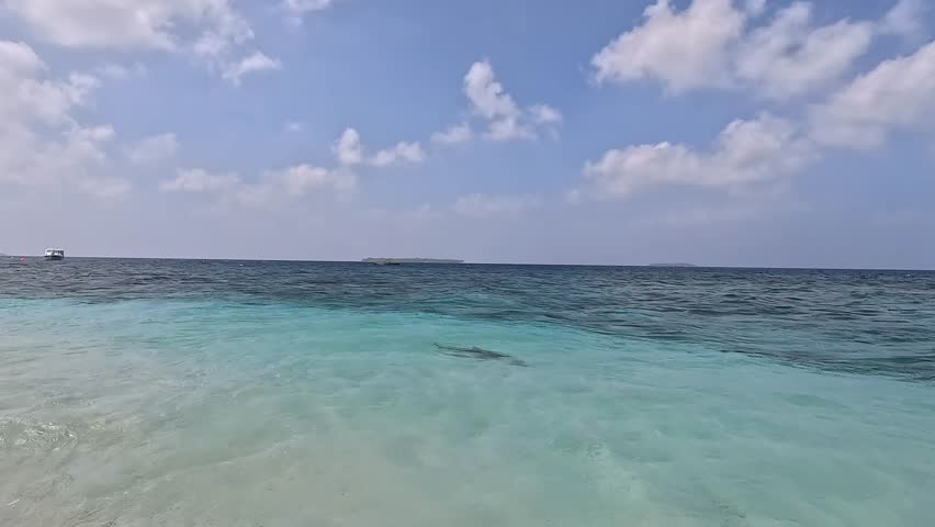 Above-water view transitioning underwater, briefly revealing Blacktip Reef Shark (Carcharhinus melanopterus) and few fish. Shark is faintly visible for moment. Shot in the Maldives.