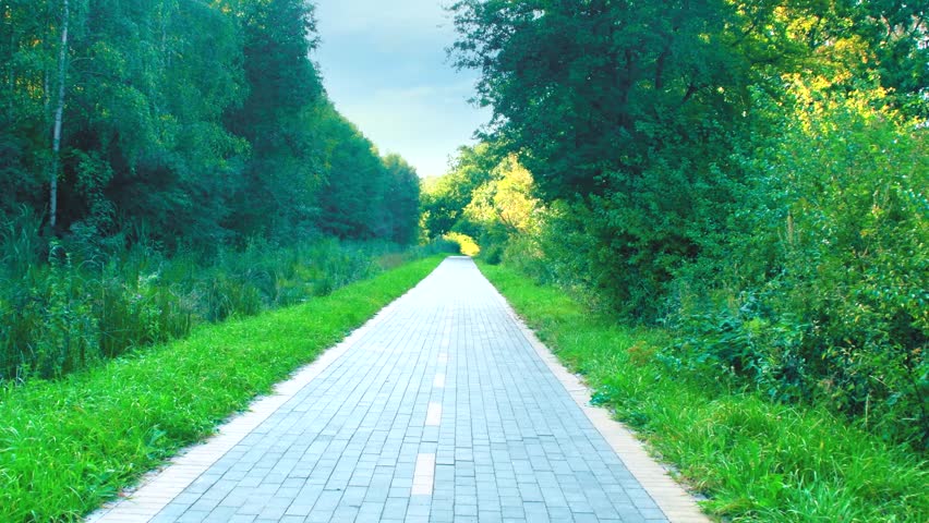 Asphalt bike path in the countryside between the trees. Place for cycling in the forest. Equipped place for sports.