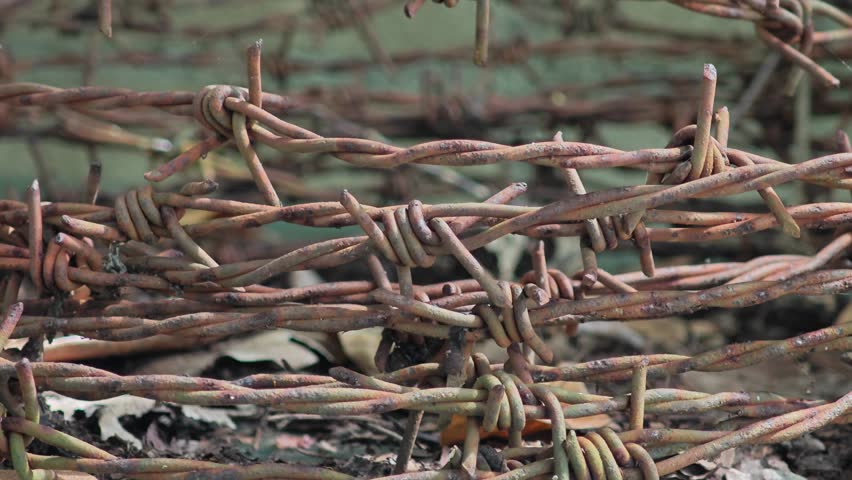 barbed wire on the ground