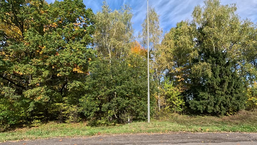 Autumn landscape, roadside view, road and landscape, forest and field, view from the car window