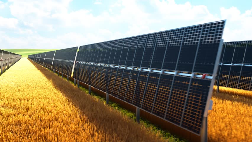 Solar panel installation stretching across wheat field. The solar panels feature a tracking system, moving to optimize sunlight capture, illustrating the integration of renewable energy in agriculture