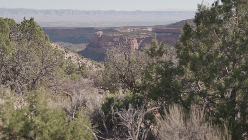 Colorado National Monument Park near the city of Grand Junction. Sheer-walled, Red rock canyons, Rim Rock Drive, Towering monoliths within a vast plateau and canyon panorama USA