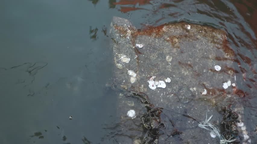 Seawater waves crash against concrete filled with shells on the edge of a pier from a port