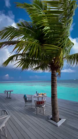 Breakfast by the turquoise ocean of the Maldives, under a palm tree, with a table set with delectable treats. 🏝️ 
