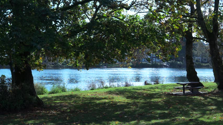 The Gorge has a rich history as an important spiritual place and food-gathering area for First Nations, and as a recreation area for Victoria residents.