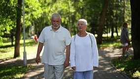 Portrait of cheerful elderly couple strolling in lush park, talking and smiling, embodying love and happiness in retirement, enjoying sunny day. Active senior male and female enjoying retirement. - Powered by Shutterstock - Get 15% off with code: PIKWIZARD15