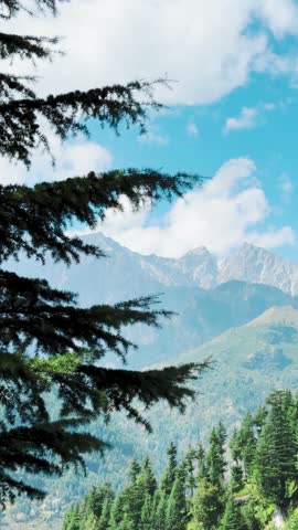 4k Vertical shot of Pine trees and Himalaya mountains with clouds in sky at Manali, Himachal Pradesh, India. Beautiful summer landscape as seen from Jogini waterfall. Nature background with copy space