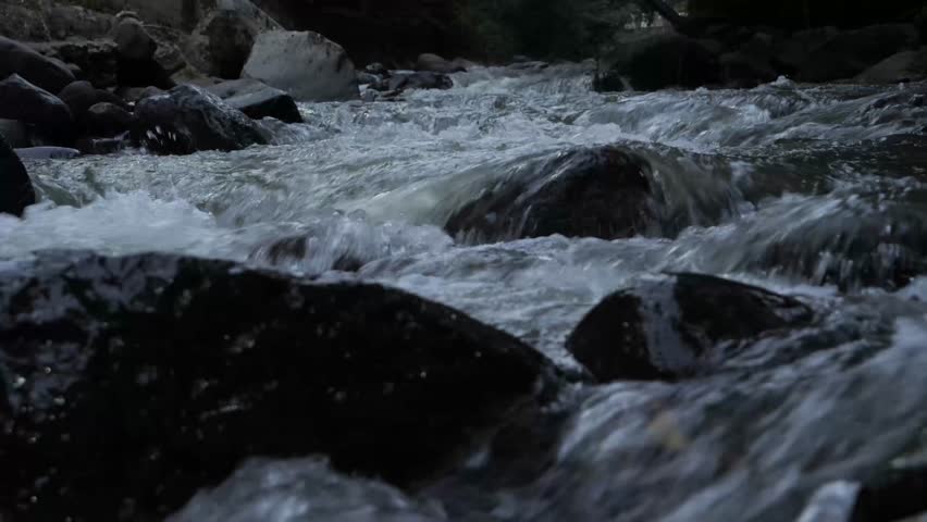 A tranquil creek flows swiftly over rounded stones as night approaches. Rushing water flows over rocks in a serene forest creek at dusk.