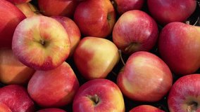 Red apples seen from above, tracking shot on apples in boxes displayed at the greengrocer's - Powered by Shutterstock - Get 15% off with code: PIKWIZARD15