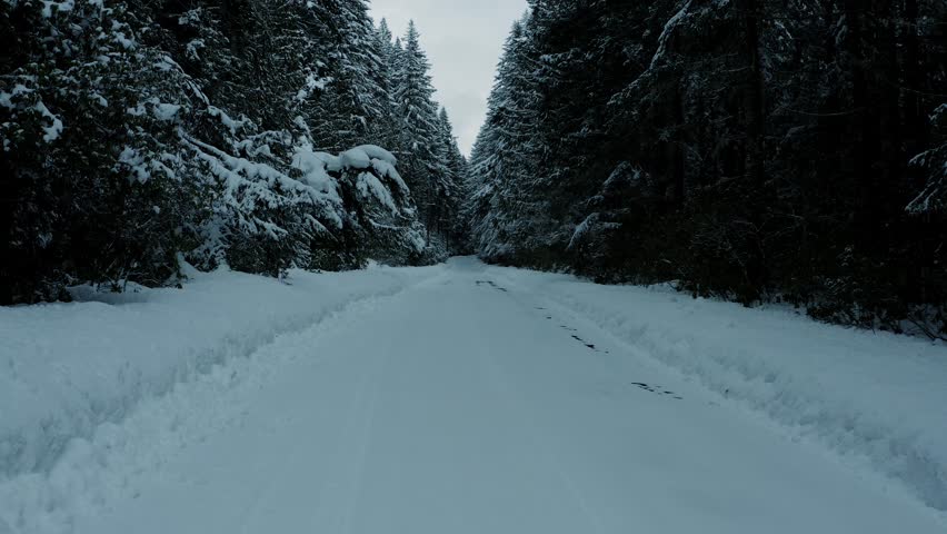 Ascending flight over a freshly snow-covered road reveals a pine forest and winter landscape near Mount Hood, Oregon