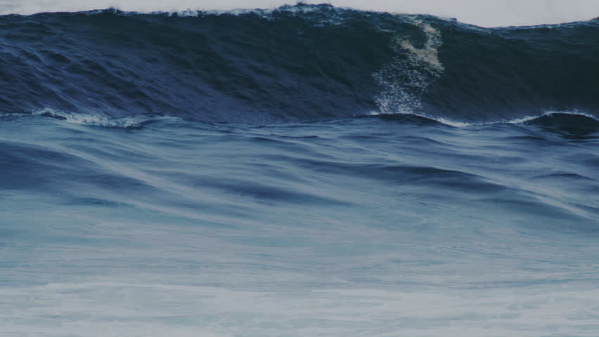 Shutterstock Video