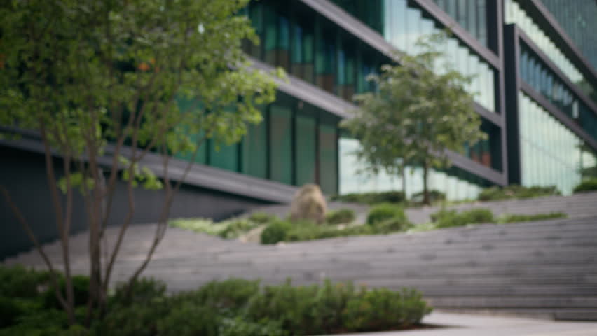 Back view unrecognizable woman business lady businesswoman manager employer leader ceo female girl worker outside climbing stairs walk go steps office building professional city boss downtown unknown