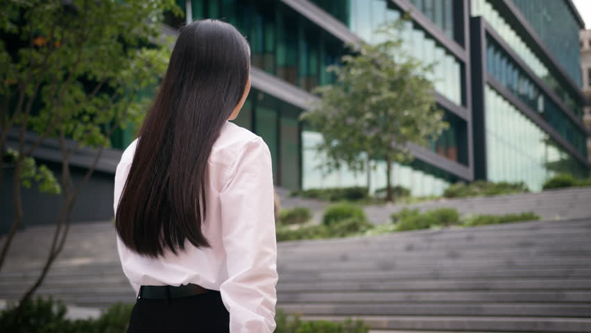 Back view unrecognizable woman business lady businesswoman manager employer leader ceo female girl worker outside climbing stairs walk go steps office building professional city boss downtown unknown