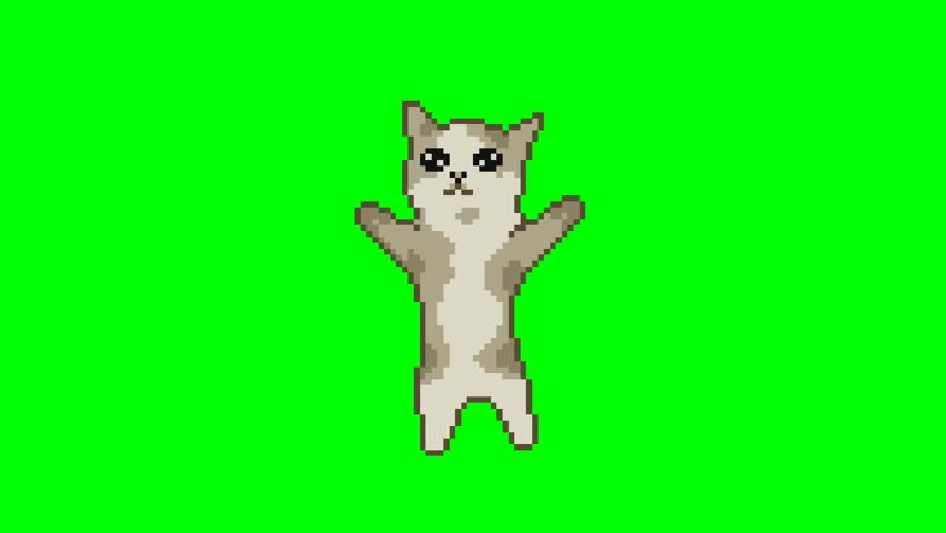 Jumping cat, pixel art meme animation