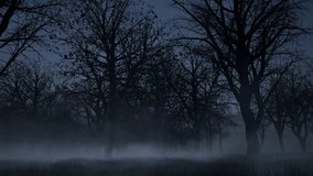 Halloween haunted dark woods forest at night time with fog, mist, full moon, and creepy trees 3D animation camera pan left - Powered by Shutterstock - Get 15% off with code: PIKWIZARD15