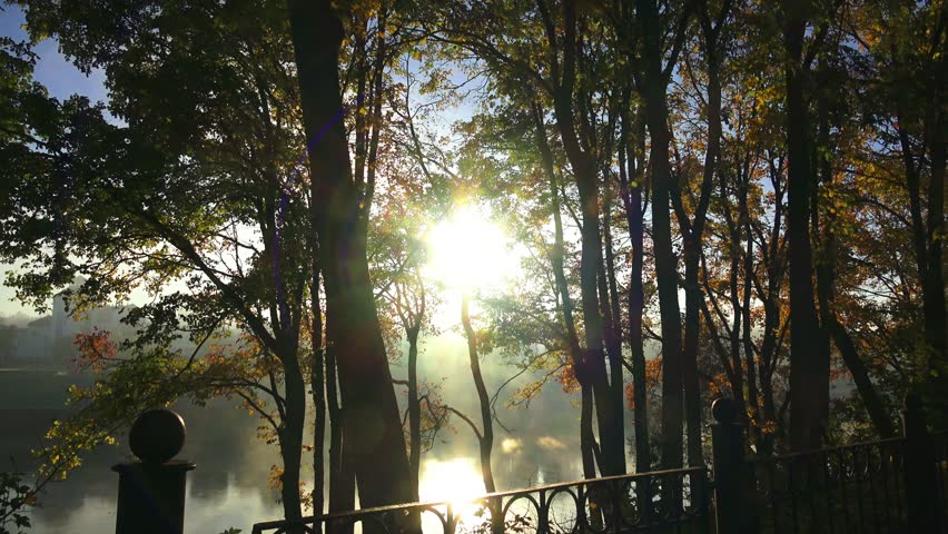 Autumn foggy morning in the city